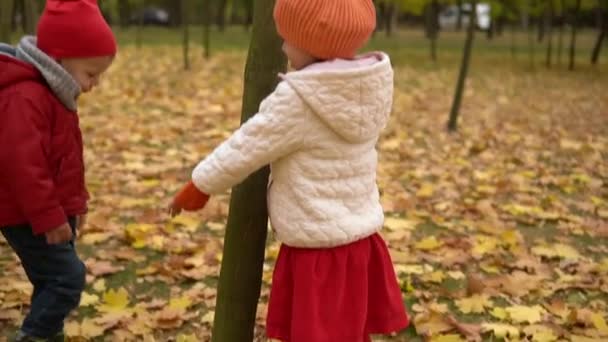 Pai e crianças caminhando no parque e desfrutando da bela natureza do outono. Família feliz na caminhada de outono. Movimento lento — Vídeo de Stock