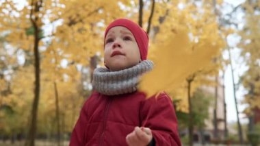 İki mutlu komik çocuk oğlan oğlan oğlan kız parkta sonbahar havasının tadını çıkarıyor. Çocuk sepetlere düşen yaprakları topluyor, saklambaç oynuyor dinleniyor ve kameraya bakarak vakit geçiriyor.
