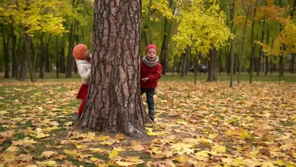 Two happy funny children kids boy Girl walking in park forest enjoying autumn fall nature weather. siblings Kid Collect falling leaves in baskets, playing hiding behind tree play hide and seek — Stock Video