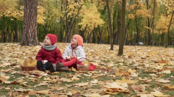 小さな就学前の子供の兄弟の女の子と男の子は遊んだ黄色の落ち葉で笑っていますバスケットピクニック子供たち秋の公園でカメラの天気を見て赤いリンゴを食べています。家族、秋の収穫コンセプト — ストック動画