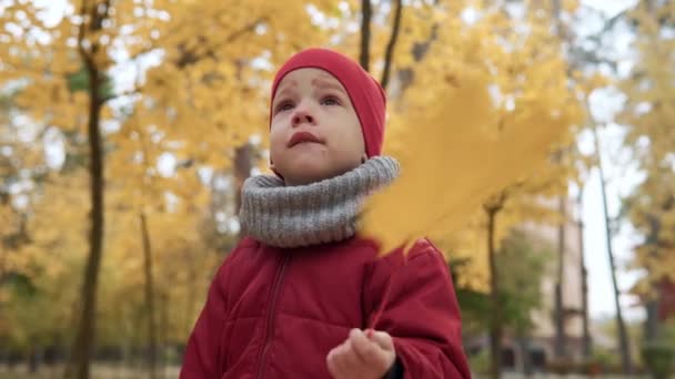 Deux enfants amusants heureux enfants garçon Fille marchant dans la forêt du parc profiter automne nature météo. Enfant Collecter les feuilles tombantes dans des paniers, jouer avoir du plaisir à se cacher au repos passer du temps à regarder la caméra — Video