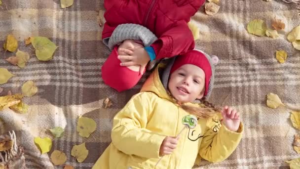 Little Preschool Kids Siblings Girl Boy Smiling sdraiati rilassati su Plaid Foglie Cadute Nel Cesto Picnic Bambini Mangiare caramelle su bastone Guarda Camera In Fall Park. Famiglia, concetto di autunno — Video Stock