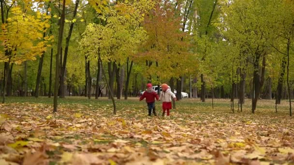 Dwa szczęśliwe śmieszne dzieci chłopiec dziewczyna spacery w lesie parku ciesząc jesienią pogodę przyrody. Kid Collect wymiotować spadające liście w koszach, szuka grzybów gry ukrywających się za drzewami — Wideo stockowe