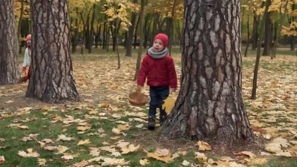 Dos niños divertidos felices niño Chica caminando en el bosque del parque disfrutando de otoño otoño naturaleza clima. Kid Recoger hojas que caen en cestas, en busca de la cosecha de setas jugando escondido detrás de los árboles — Vídeo de stock