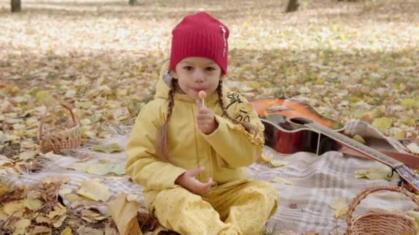 Klein vrolijk kleuter kind meisje warm rood hoed eet likt grote snoep op stok. Kid eten snoep picknick buiten.Gele Gevallen bladeren In Mand Koud Weer In Fall Park. Jeugd, Familie, Herfst — Stockvideo