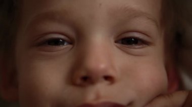 Güzel Çocuk Kameraya Bakıyor. Şirin Bebek Erkek Yüzü 'nün portresi. Yakından Kahverengi Gözlü Çocuklar. Çocuk Duyguları 'ndan. Çocuklar Odaklanmış Bak. Kafkas Çocuk 'un son derece detaylı portresi. Doğal Güzellik