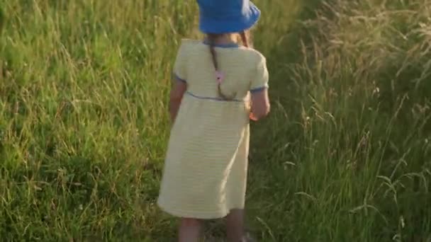 Linda niña preescolar en vestido amarillo trepando por el sendero en la hierba alta antes del atardecer. Niño caminando en el prado de campo salvaje. Niños felices en las montañas. infancia, naturaleza, estilo de vida, concepto de verano — Vídeo de stock