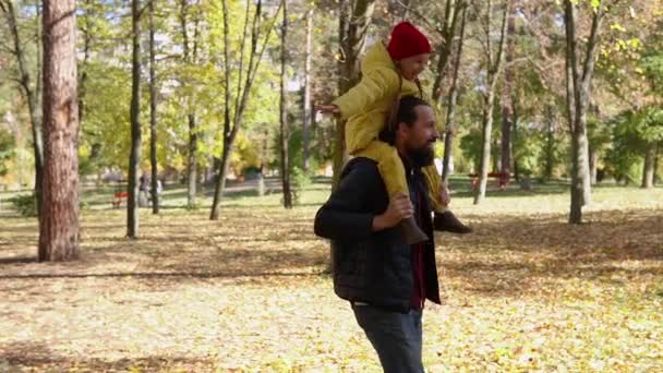 Boldog vicces család apa gyerekek szórakozni a parkban apával élvezi őszi természet időjárás. Apa Kölyök ül vállon gördülő időt töltenek összegyűjtése levelek együtt játszik az erdős táj — Stock videók