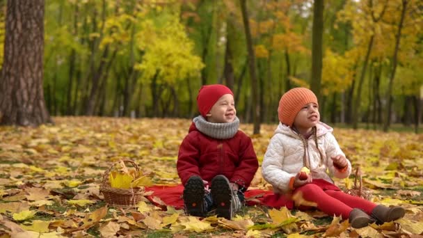 Μικρή χαριτωμένο Νηπιαγωγείο Μωρά Αδέρφια Κορίτσι και Αγόρι Χαμογελώντας στο κόκκινο καρό κίτρινο πεσμένα φύλλα σε καλάθι Τρώει Κόκκινο Μήλο Κοιτάξτε κάμερα κρύο καιρό στο πάρκο πτώση. Παιδική ηλικία, Οικογένεια, Φθινοπωρινή έννοια — Αρχείο Βίντεο