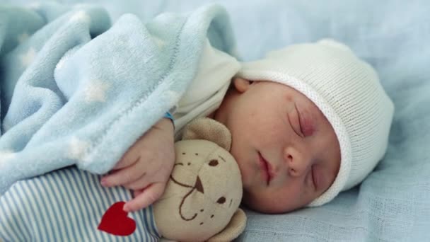 Közelkép újszülött baba arc portré Korai napokban alszik Tady Bear kék háttér. Gyermek az élet kezdőperceiben kalapban. Csecsemők, Szülés, Első pillanatok a születés, Kezdő koncepció — Stock videók