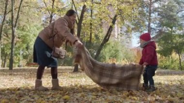 Küçük çocukla piknik yapan genç anne bebek bakıcısı yere ekose serpiştiriyor. Sarı Düşen Yapraklar Sepette Kırmızı Elma yiyor. Sonbahar parkındaki Soğuk Hava 'ya bakın. Çocukluk, Aile, Sonbahar