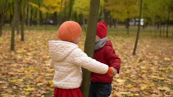 Dva šťastné zábavné děti chlapec Dívka procházky v parku lesa těší podzim příroda počasí. sourozenci Kid Sbírat padající listí, děti krouží hrát vedoucí kolo tanec kolem stromu drží za ruce — Stock video