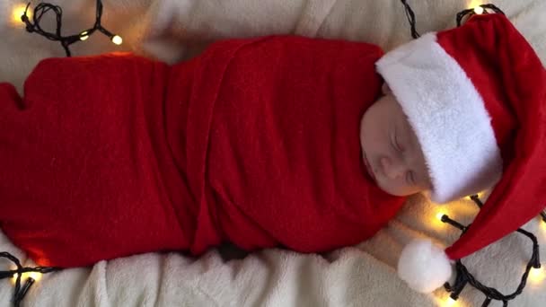 2015 년 12 월 9 일에 확인 함 . Top View Portrait First Days of Life Newborn Cute Funny Sleeping Baby In Santa Hat Wrapped In Red Diaper At White Garland Background. 메리 크리스마스, 해피 뉴 이어, 유아, 어린 시절, 겨울 컨셉 — 비디오