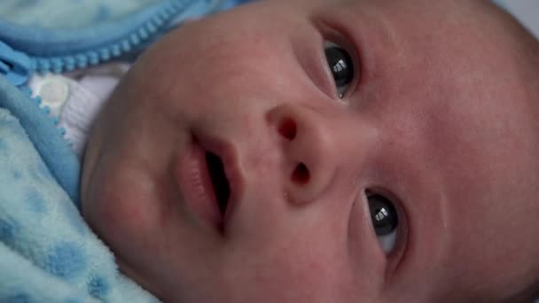 Look of baby in camera close up shot. infant, childhood, parental love, emotion concept - cute smiling face of brown-eyed chubby newborn in soft blue jacket awake looks around laying on bed at home — Stock Video