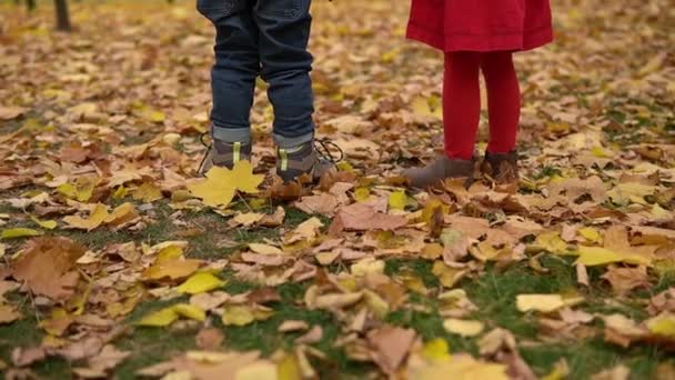 Two happy funny active smilling friends children kids boy Girl walking running holding hands in park forest enjoying autumn fall nature weather. Kid in red cloth playing hiding behind trees Slow — Stock Video