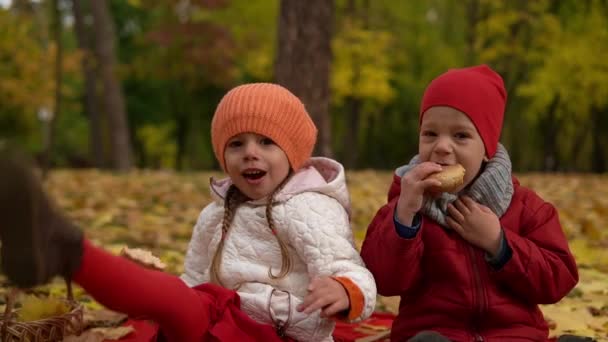 小さな幸せな就学前の子供の兄弟姉妹の友人女の子と男の子の笑顔は楽しい黄色の落ち葉バスケットピクニックの子供たち秋の公園でランチパンパンの天気を食べています。家族、秋の収穫コンセプト — ストック動画