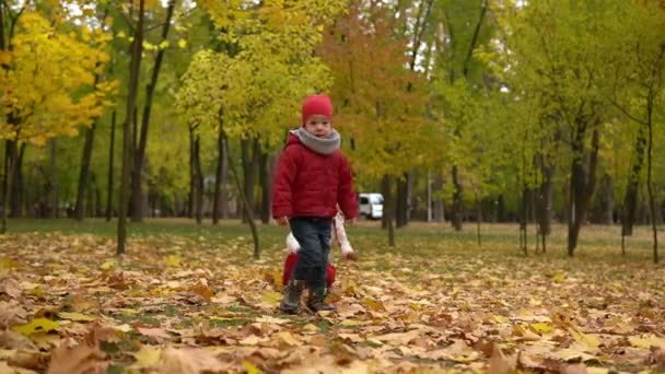 Dwa szczęśliwe śmieszne dzieci chłopiec dziewczyna spacery w lesie parku ciesząc jesienią pogodę przyrody. Kid Collect wymiotować spadające liście w koszach, szuka grzybów gry ukrywających się za drzewami — Wideo stockowe