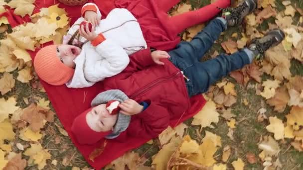 Lilla förskolan Kid syskon flicka pojke leende lägga ner vila koppla av på rutig fallna löv i korgen picknick barn äter frukt röd äpple titta på kameran i hösten Park. Familj, höstskörd — Stockvideo