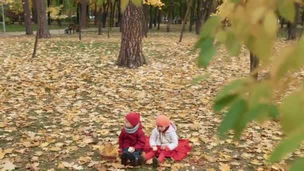 Малыш дошкольного возраста Девочка и мальчик улыбаются на клетчатых желтых листьях в корзине Пикник Дети едят фрукты Красное яблоко Посмотрите на камеру Погода в осеннем парке. Семья, осенний сбор урожая — стоковое видео