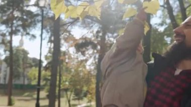 Genç baba sakalı küçük mutlu bebek kucağında. Kucağında sarı yapraklar var. Güneşli bir günde, Soğuk Hava Ormanı Parkı 'nda. Baba kızıyla yürüyor, çocukluk, aile...