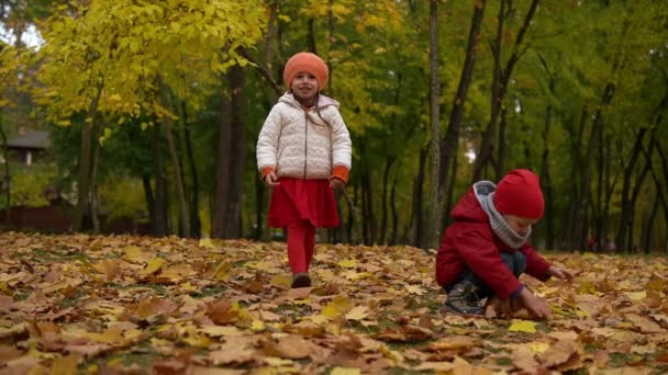 Dwa szczęśliwe śmieszne dzieci chłopiec dziewczyna spacery w lesie parku ciesząc jesienią pogodę przyrody. Kid Collect wymiotować spadające liście w koszach, szuka grzybów gry ukrywających się za drzewami — Wideo stockowe