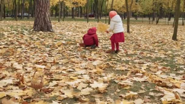 Two happy funny children kids boy Girl walking in park forest enjoying autumn fall nature weather. Kid Collect falling leaves in baskets, looking for harvest of mushrooms playing hiding behind trees — Stock Video