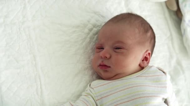 Ξύπνημα νεογέννητο μωρό προσωπογραφία Ακμή Αλλεργική Ερεθισμοί Πρώιμες Μέρες Θλίψη Σε Λευκό Φόντο. Το παιδί ξεκινά λεπτά της ζωής στο καπέλο. Βρέφη, Τοκετός, Πρώτες Στιγμές της Γέννησης, Έννοια Αρχή — Αρχείο Βίντεο
