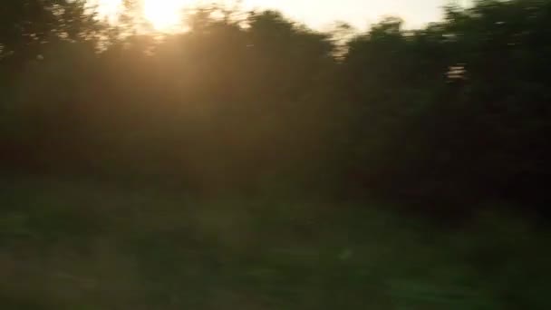 Pohled z okna vysokorychlostního vlaku na krajinu krásné přírody divoké pole a les za večerního oblačného soumraku nebe západ slunce v letním pozadí. Doprava, cestování, železnice, koncept komunikace — Stock video