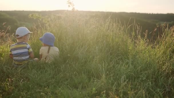 Słodkie przedszkolanka dziewczynka i chłopiec siedzi na szczycie góry w wysokiej trawie przed zachodem słońca. Dziecko spacerujące na dzikiej łące. Szczęśliwy dzieciak w górach. dzieciństwo, natura, styl życia, koncepcja lata — Wideo stockowe