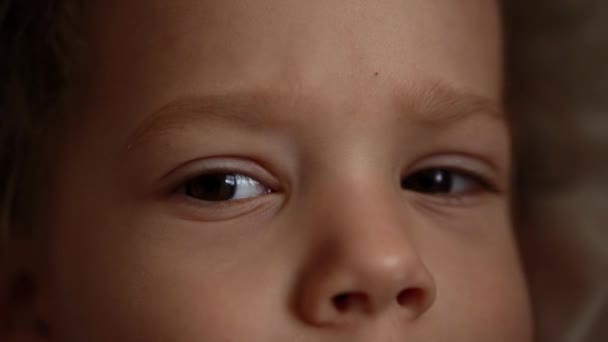 Mooi kind dat naar de camera kijkt. Portret van Little Cute Baby Boy Face. Close-up Jongens Bruine Ogen. Emoties van kinderen. Kinderen Gericht Kijk. Zeer gedetailleerd portret van een blanke jongen. Natuurlijke schoonheid — Stockvideo