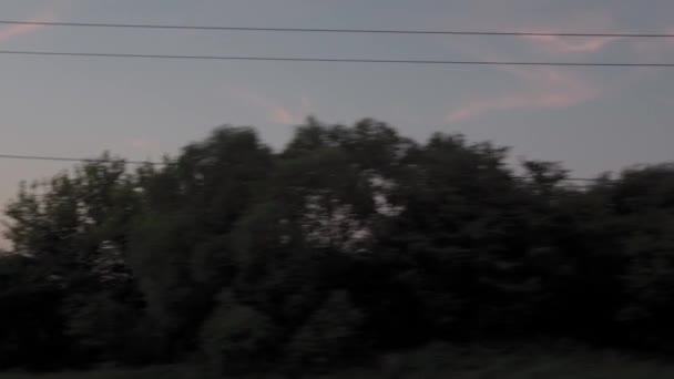 Вид из окна скоростного поезда на пейзаж красивой природы дикого поля и леса на вечернем облачном закате неба на летнем фоне. Концепция транспорта, путешествий, железных дорог, коммуникаций — стоковое видео