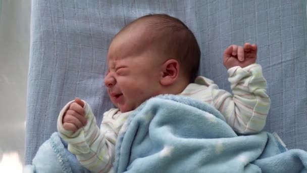 Ébredj újszülött baba arc portré akne allergiás irritációk korai napok Grimace sír a kék háttér. A gyerek kezdőpercei az életről. Csecsemők, Szülés, Első pillanatok a születés, Kezdő koncepció — Stock videók