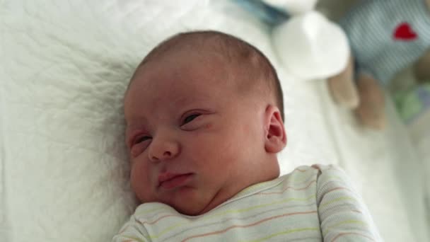 Ébredj újszülött baba arc portré akne allergiás irritációk korai napok Grimace fehér háttér. Gyerek kezdőpercek az élet kalap. Csecsemők, Szülés, Első pillanatok a születés, Kezdő koncepció — Stock videók