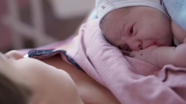 Close up Portret gezicht pasgeboren naakt baby op moeders borst na de bevalling. Moeder houdt baby kind vast na de bevalling in het ziekenhuis. Moma die geboorte geeft aan Kid Boy. Ouder en zuigeling eerste momenten van Borning — Stockvideo