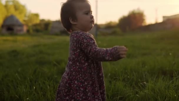 Hiteles aranyos kis csecsemő lány ruha séta parkban magas fű tavaszi naplementekor. játékos gyermek mászik gyep a természetben napkeltekor. Gyermekkor, szülőség, család, életmód koncepció — Stock videók
