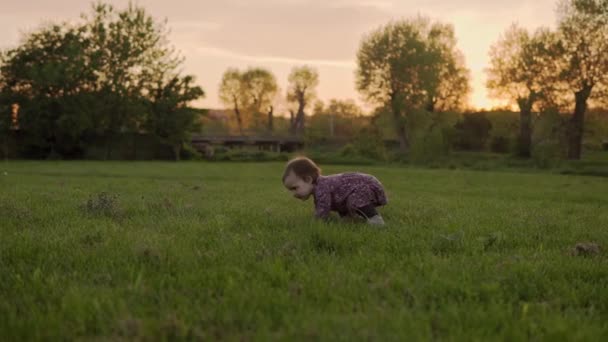 Authentique petite fille mignonne en robe marchant dans le parc sur l'herbe haute au coucher du soleil de printemps. pelouse enfant rampante ludique sur la nature pendant le lever du soleil. Enfance, parentalité, famille, mode de vie concept — Video