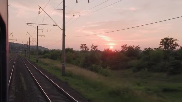 창문에서 고속 열차를 보면 아름다운 자연 경관 과 숲 속 철로 가 여름 밤에 일몰 광경을 볼 수있다. 교통, 교통, 철도, 통신 개념 — 비디오