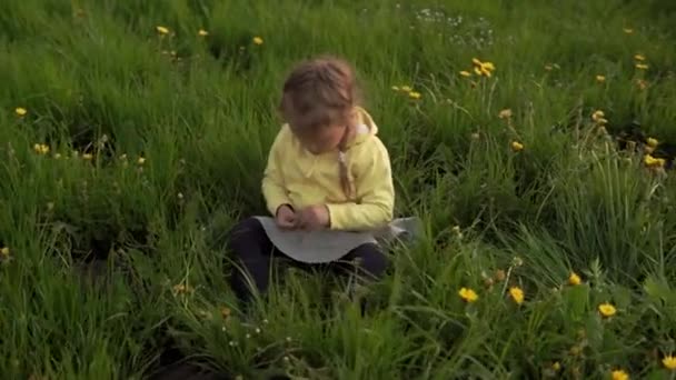 Äkta söt liten förskola liten flicka i gult grå samla maskros blommor i parken på gräs vid solnedgången. barn på naturen under soluppgången. Barndom, föräldraskap, familj, livsstil — Stockvideo