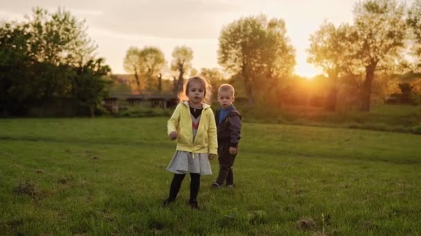 Autentico carino due piccoli bambini della scuola materna ragazza e ragazzo che camminano nel parco su erba alta al tramonto primaverile. Bambini che sembrano confusi sotto i piedi. Infanzia, paternità, famiglia, concetto di stile di vita — Video Stock