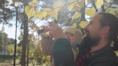 Genç baba sakalı küçük mutlu bebek kucağında. Kucağında sarı yapraklar var. Güneşli bir günde, Soğuk Hava Ormanı Parkı 'nda. Baba kızıyla yürüyor, çocukluk, aile...