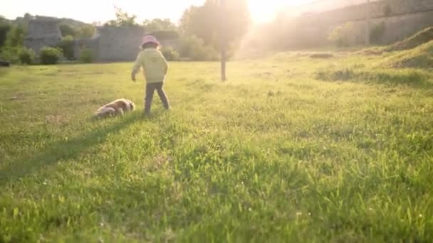 Lato, wakacje, przyroda, szczęśliwa rodzina, dzieciństwo, przyjaźń, zwierzę domowe, zwierzęta - dwoje małych dzieci przedszkola dzieci rodzeństwo bliźniaki biegać bawić się pieszo pies w parku na trawie o zachodzie słońca — Wideo stockowe