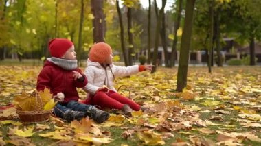 Küçük şirin okul öncesi bebek kardeşleri ve kırmızı ekose üzerine gülümseyen oğlan sepetteki yaprakları yiyor sonbahar parkındaki soğuk hava kamerasına bakıyor. Çocukluk, Aile, Sonbahar Konsepti