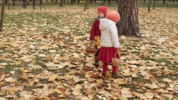Двоє щасливих смішних дітей хлопчик Дівчинка гуляє в парковому лісі насолоджуючись осінньою осінньою погодою. Малюк збирає падаюче листя в кошиках, шукаючи урожай грибів, які грають, ховаючись за деревами — стокове відео