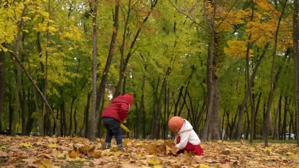 Duas crianças engraçadas felizes menino Garota andando na floresta do parque apreciando outono outono natureza tempo. Kid Collect vomitar folhas caindo em cestas, à procura de cogumelos brincando escondido atrás de árvores — Vídeo de Stock