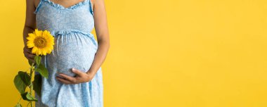 Annelik, kadınlık, sıcak yaz, doğa, insanlar, bayrak portresi... Çiçek mavisi elbisesiyle tanınmayan hamile kadın, sarı arka plan fotokopi alanında göbeğine yakın taze bir ayçiçeği tutuyor.