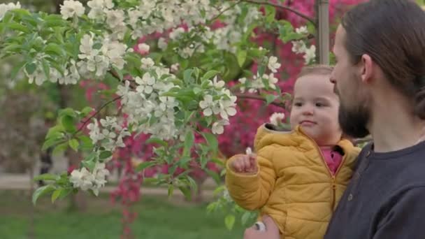 Orang-orang di taman. Ayah memegang bayi perempuan dalam pelukan dekat pohon apel mekar dan mengendus bunga. orang tua dan anak-anak menyenangkan berjalan di luar ruangan terbuka. Ayah hari, masa kecil, konsep orang tua — Stok Video