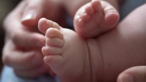 Baby Feet On Mother Hands. Roztomilé malé novorozené děti nohy na ženské objetí Closeup. Máma a její dítě. Happy Family Concept. Krásné konceptuální video z mateřství. Rozkošné maličké prsty selektivní zaměření — Stock video