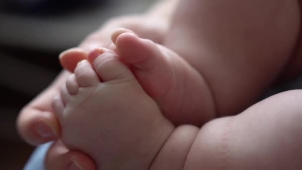 Baby Feet On Mother Hands. Roztomilé malé novorozené děti nohy na ženské objetí Closeup. Máma a její dítě. Happy Family Concept. Krásné konceptuální video z mateřství. Rozkošné maličké prsty selektivní zaměření — Stock video