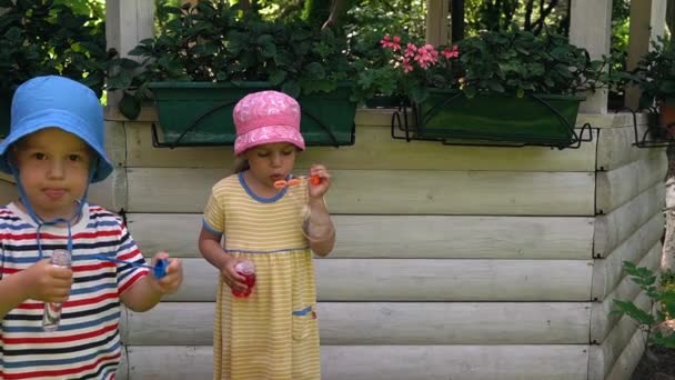 Happy cute preschool simblings children boy and girl blow soap bubbles on hot summer. Kids playing on yard. Baby on park or garden on sunny day outdoor. Childhood, Vocation, Parenthood, family concept — Stock Video