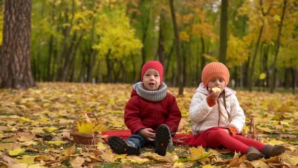 小可爱小可爱小宝宝小妹妹小女孩和小男生在红白相间的黄色落叶在篮子里吃红苹果在秋天的公园里看相机寒冷的天气。童年、家庭、秋天的概念 — 图库视频影像